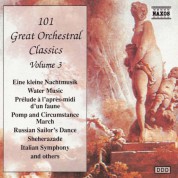 101 Great Orchestral Classics, Vol.  3 - CD
