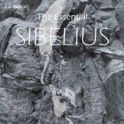 Lahti Symphony Orchestra, Gothenburg Symphony Orchestra, Osmo Vänskä, Neeme Järvi, Çeşitli Sanatçılar: Sibelius: The Essential Sibelius - CD