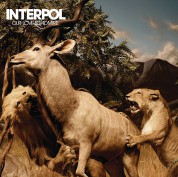 Interpol: Our Love to Admire (10th Anniversary - Remastered) - Plak