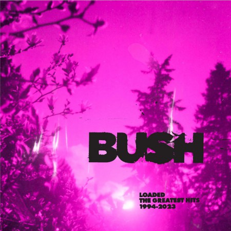 Bush: The Greatest Hits 1994-2023 (Cloudy Clear Vinyl) - Plak