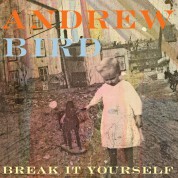Andrew Bird: Break It Yourself - CD