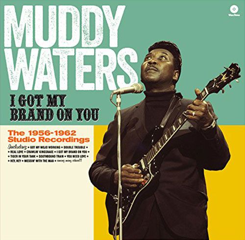 Muddy Waters - I Got My Brand On You