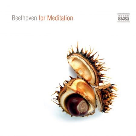 Çeşitli Sanatçılar: Beethoven for Meditation - CD