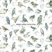 Edwyn Collins: Losing Sleep - CD