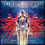 The Flower Kings: Unfold The Future - Plak