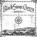 Black Stone Cherry: Between The Devil & The Deep Blue Sea (Limited Numbered Edition - Blue Vinyl) - Plak