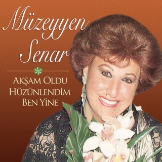Müzeyyen Senar: Akşam Oldu Hüzünlendim Ben Yine - Plak