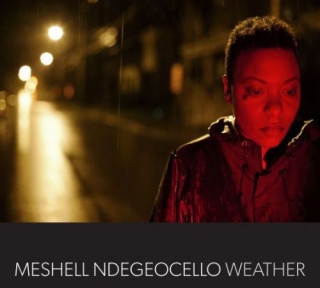 Meshell Ndegeocello: Weather - CD