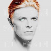 Çeşitli Sanatçılar: The Man Who Fell To Earth (Soundtrack) - Plak