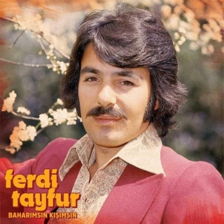 Ferdi Tayfur: Baharımsın Kışımsın - Plak
