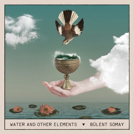 Bülent Somay: Water And Other Elements - Plak