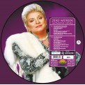 Zeki Müren: Batmayan Güneş (Picture Disc) - Plak