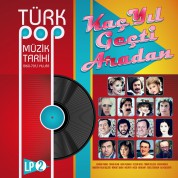 Çeşitli Sanatçılar: Türk Pop Müzik Tarihi 1960-70'lı Yıllar Vol.2 - Plak