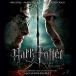 Harry Potter And The Deathly Hallows Part 2 - Plak