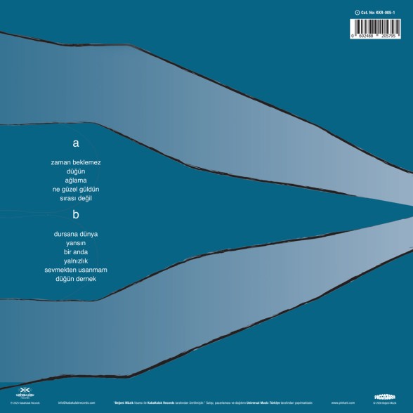 Pinhani: Zaman Beklemez - Plak Foto #2