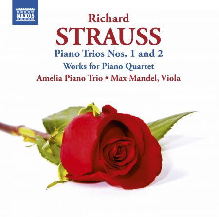 Amelia Piano Trio: Strauss: Piano Trios Nos. 1 & 2 - CD