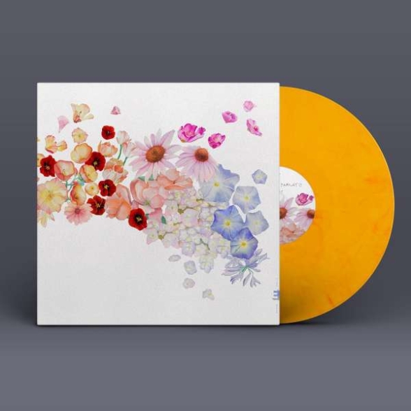Gretchen Parlato - Flor ( - Yellow )