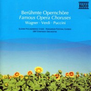 Çeşitli Sanatçılar: Famous Opera Choruses - CD