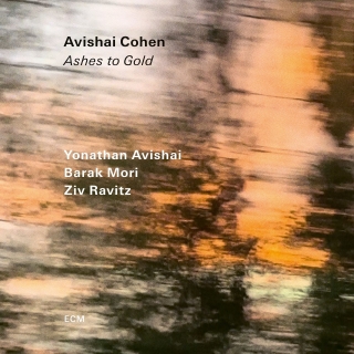 Avishai Cohen: Ashes To Gold - Plak