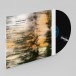 Ashes To Gold - Plak