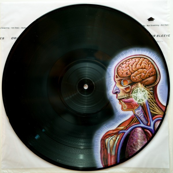 Tool: Lateralus (Limited Edition - Picture Disc) - Plak Foto #4