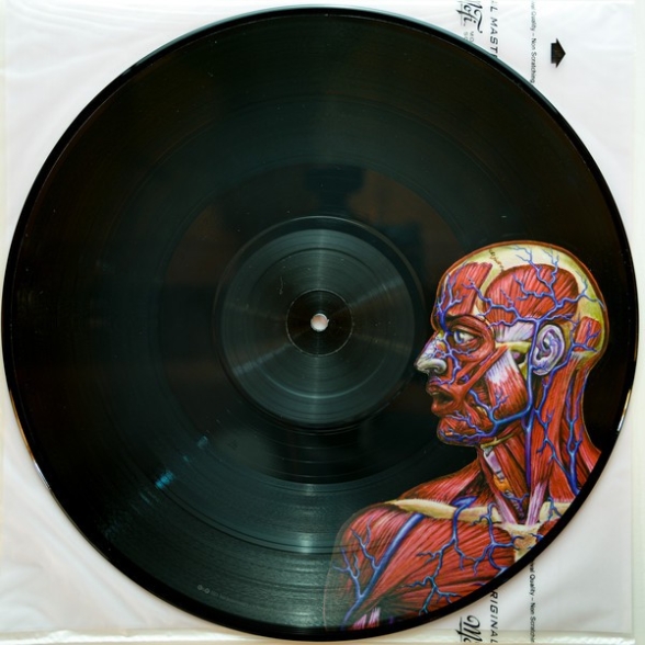 Tool: Lateralus (Limited Edition - Picture Disc) - Plak Foto #2