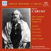 Caruso, Enrico: Complete Recordings, Vol. 11 (1918-1919) - CD