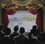 Fall Out Boy: From Under The Cork Tree - CD