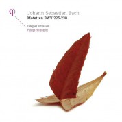 Dorothee Mields, Robin Blaze, Hans-Jörg Mammel, Peter Kooy, Collegium Vocale Gent: Bach: Motetten BWV 225-230 - Plak