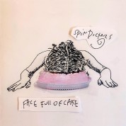 Spin Doctors: Face Full Of Cake - Plak