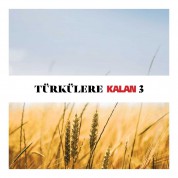 Çeşitli Sanatçılar: Türkülere Kalan 3 - CD