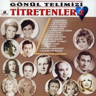 Çeşitli Sanatçılar: Gönül Telimizi Titretenler 2 - CD