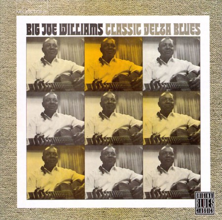 Big Joe Williams: Classic Delta - CD