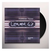 Level 42: Forever Now - Plak