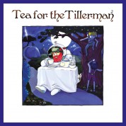 Cat Stevens: Tea For The Tillerman 2 - CD