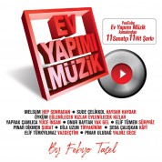 Çeşitli Sanatçılar, Febyo Taşel: Febyo Taşel - Ev yapımı Müzik - CD