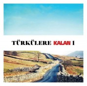 Çeşitli Sanatçılar: Türkülere Kalan 1 - CD