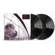 Pearl Jam: Vs.  (Remastered - 30th Anniversary) - Plak