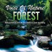Forest - CD
