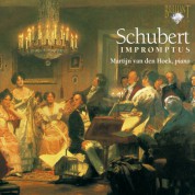 Martijn van den Hoek: Schubert: Impromptus - CD