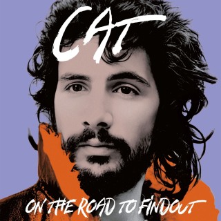 Cat Stevens: On The Road To Findout: Greatest Hits - CD