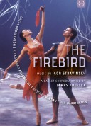 Kirov Orchestra, Valery Gergiev: Stravinsky: The Firebird - DVD