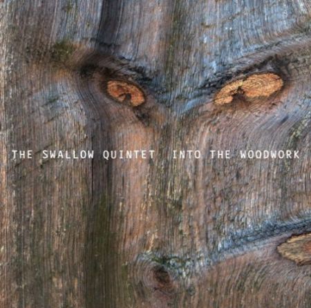Steve Swallow: Into the woodwork - CD