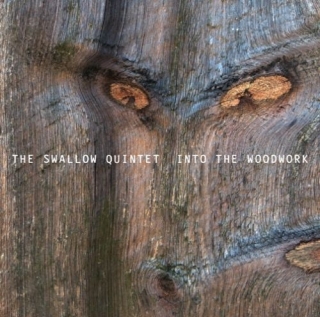 Steve Swallow: Into the woodwork - CD
