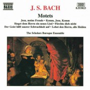 Scholars Baroque Ensemble: Bach: Motets, BWV 225-230 - CD