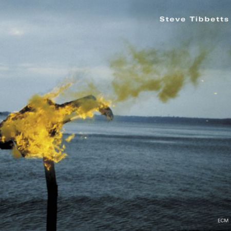 Steve Tibbetts: A Man About A Horse - CD