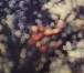 Obscured By Clouds - CD