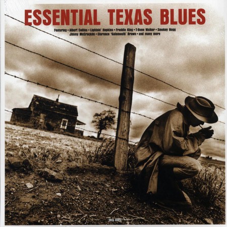 Çeşitli Sanatçılar: Essential Texas Blues - Plak