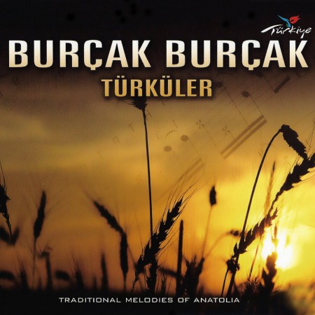 Çeşitli Sanatçılar: Burçak Burçak Türküler - CD