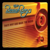 The Beach Boys: That's Why God Made The Radio - Plak